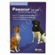 Panacur KH 500 voor honden 